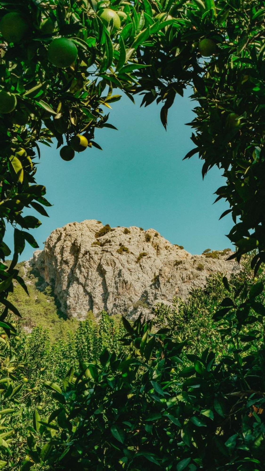Sheriff, Olympos Kumluca Εξωτερικό φωτογραφία